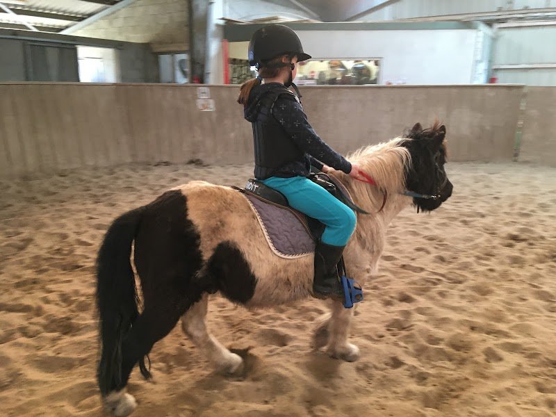 Les écuries du Rohu - photo 3