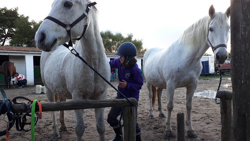 Centre Equestre l'Eperon - photo 2