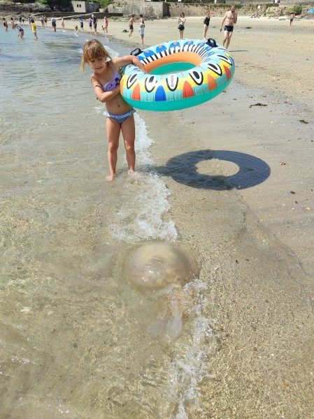 Centre équestre du Roch - photo 3