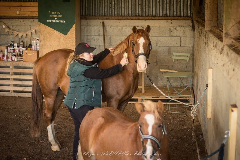 Écurie du Renard - photo 1