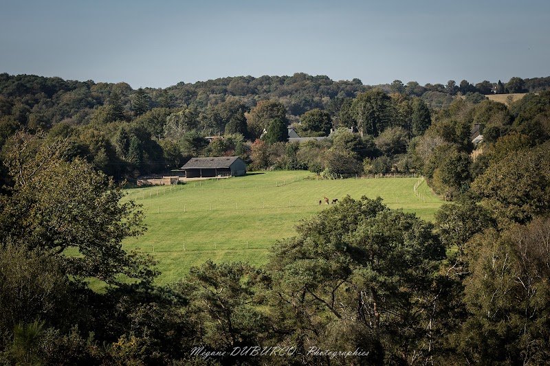 Écurie du Renard - photo 3