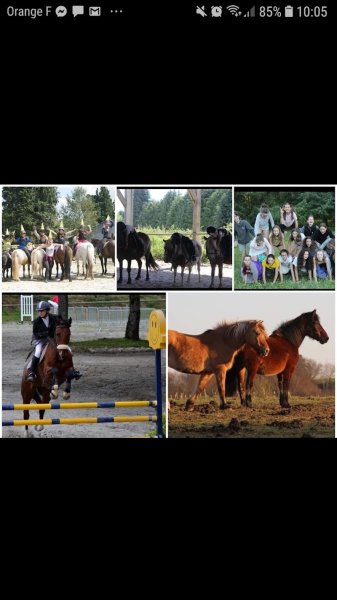 SCEA Le Manège Enchanté - photo 2