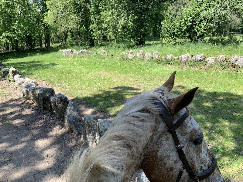Centre Equestre Les Menhirs - photo 2