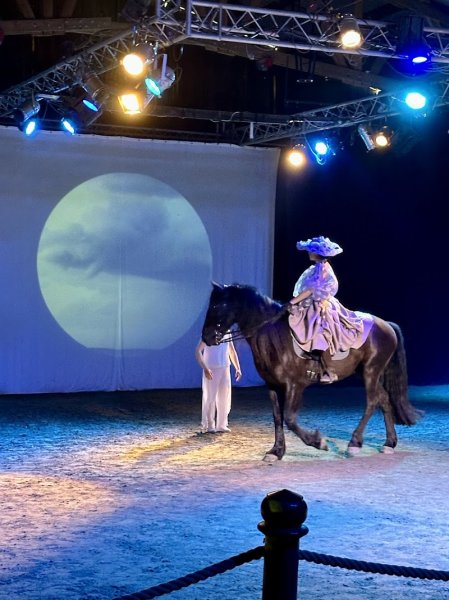 Théâtre Equestre de Bretagne - Equus Arte - photo 1