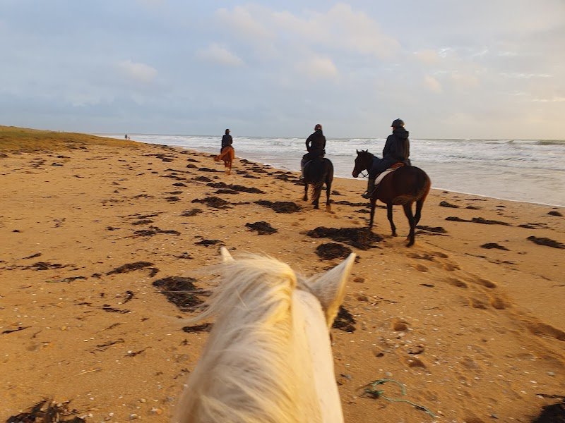 Centre Equestre des Dunes Erdeven - photo 3