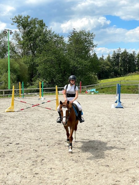 Poney Club de Guidel - photo 2