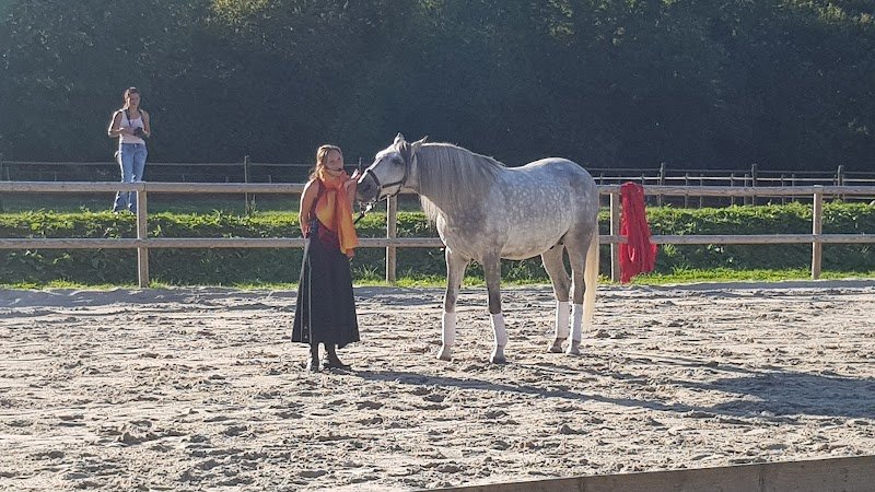 Ecuries d'Arpege - photo 2