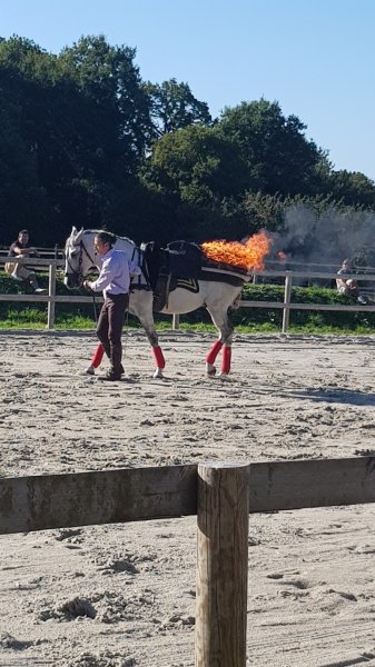 Ecuries d'Arpege - photo 3