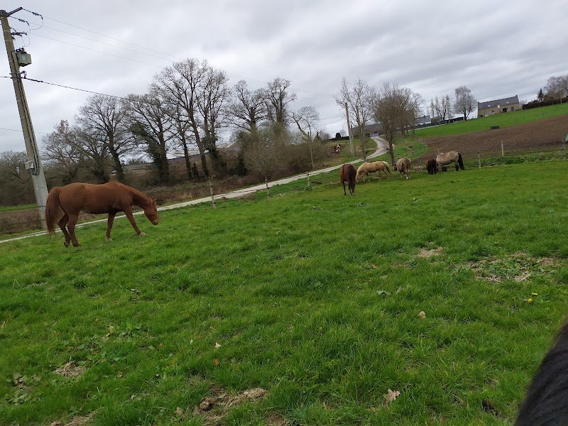 Ecuries ar koed aour