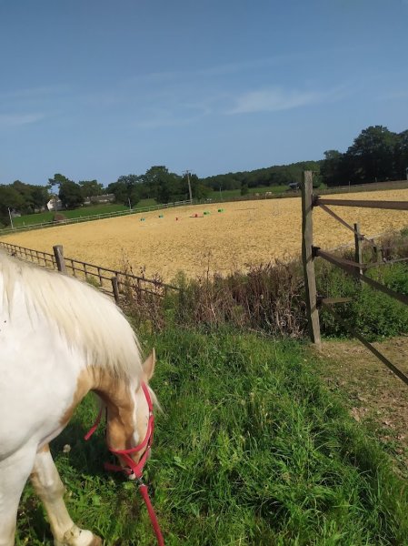 Ecuries ar koed aour - photo 3