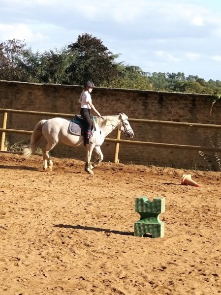 Haras De La Bourdonnaye