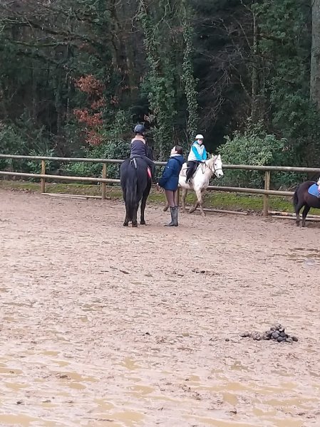 Haras De La Bourdonnaye - photo 2