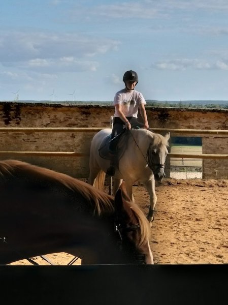 Haras De La Bourdonnaye - photo 3