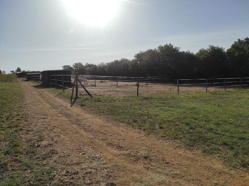 Écurie des Rieux - photo 1