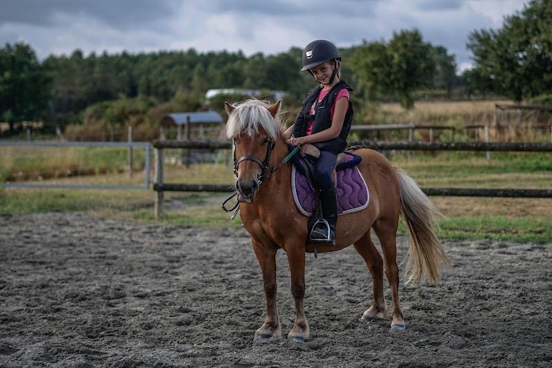 Centre Equestre de Kerlarno - photo 2