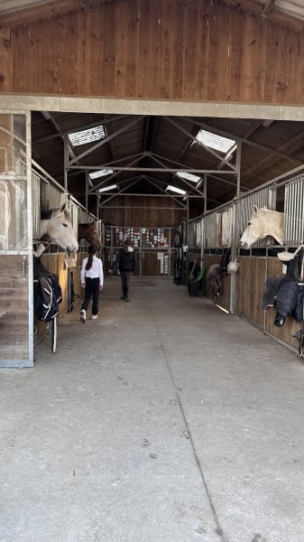 Haras d'S'L - photo 1