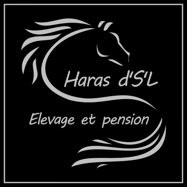 Haras d'S'L - photo 2