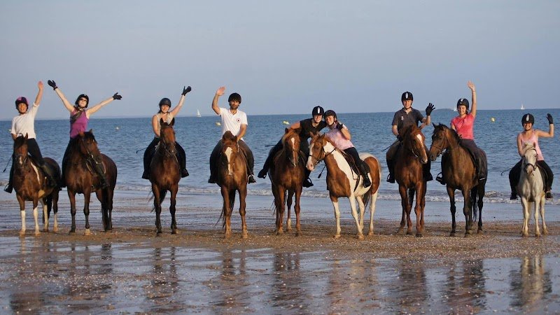 Centre Equestre Du Fano et équicoaching