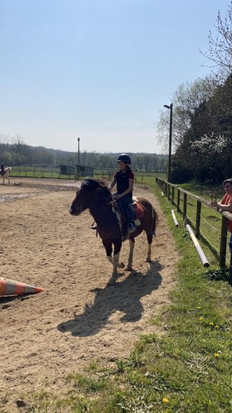 Centre Equestre Du Fano et équicoaching - photo 2