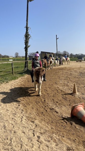 Centre Equestre Du Fano et équicoaching - photo 3
