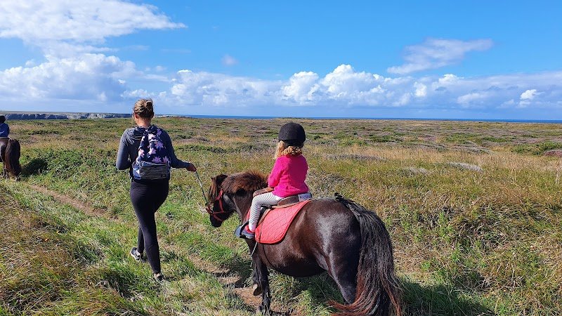 Le Poney Bleu - photo 1