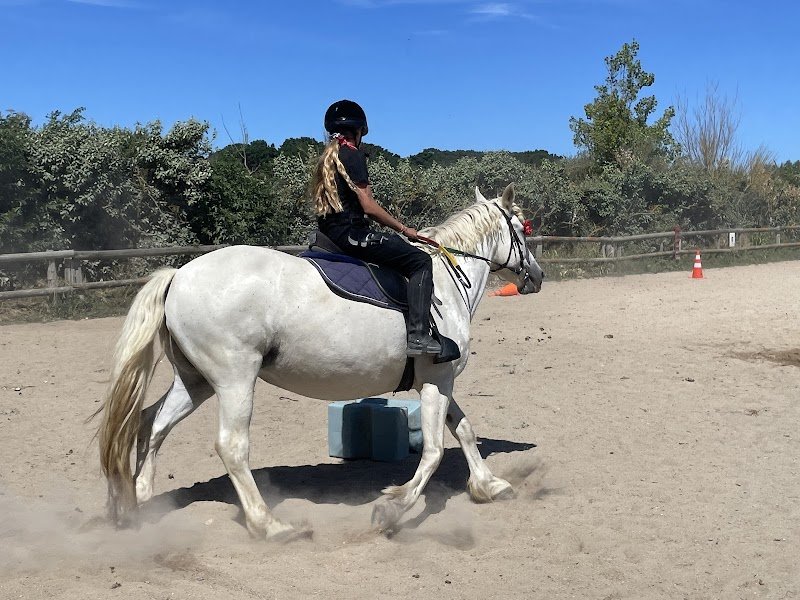 Le Poney Bleu - photo 3