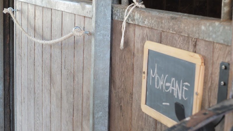 Poney Club de Landaul - photo 1