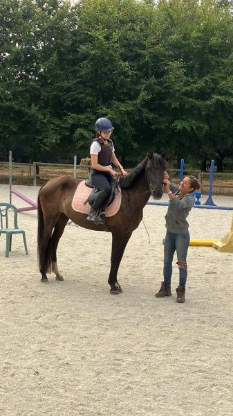 Poney Club de Landaul - photo 3