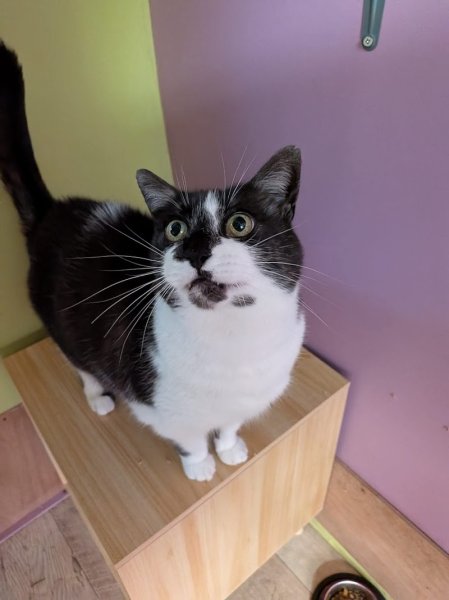 Pension de La Lande DourFal