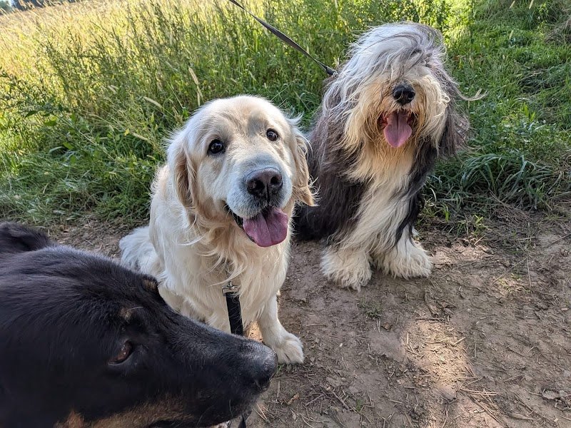 Pension de La Lande DourFal - photo 2