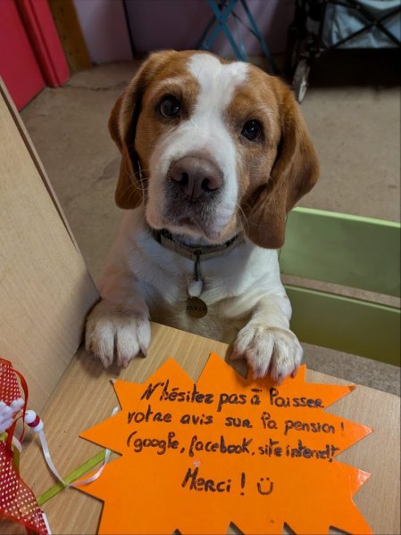 Pension de La Lande DourFal - photo 3