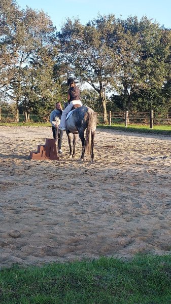 ChevalNatureDeGrandLieu - photo 1