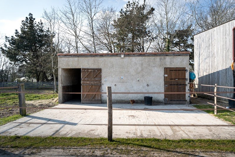 ChevalNatureDeGrandLieu - photo 2