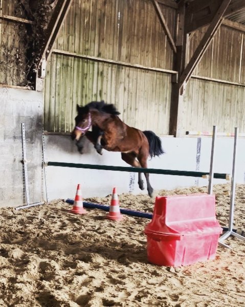 Ecurie de Fresnay - photo 2