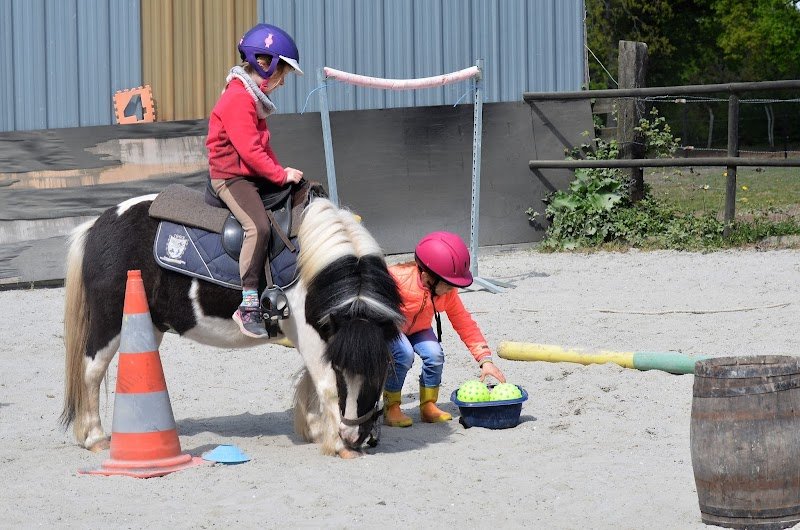 Au poney magique - photo 1