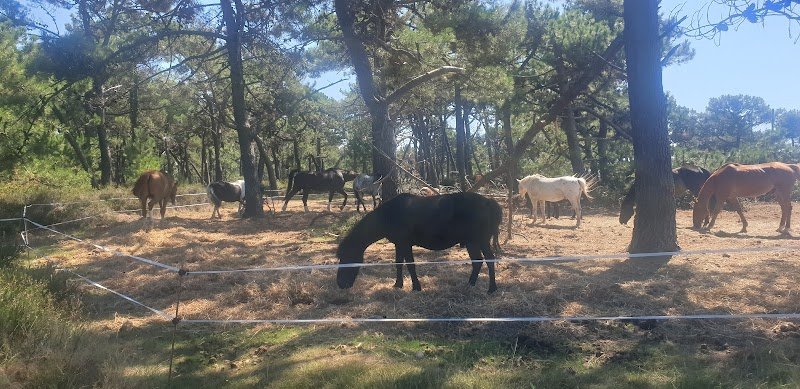 Domaine Les Chevaliers de Bangor - photo 1