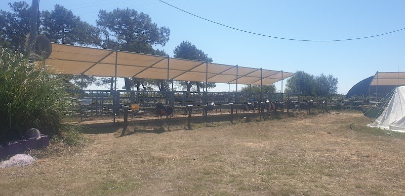 Domaine Les Chevaliers de Bangor - photo 2