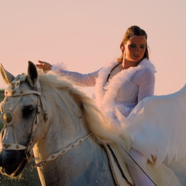 Domaine Les Chevaliers de Bangor - photo 3