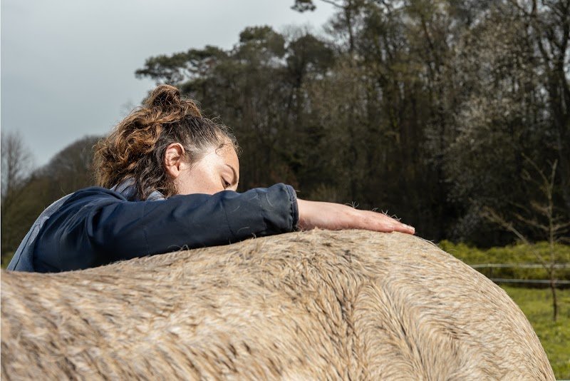 HEqui-form massage chevaux