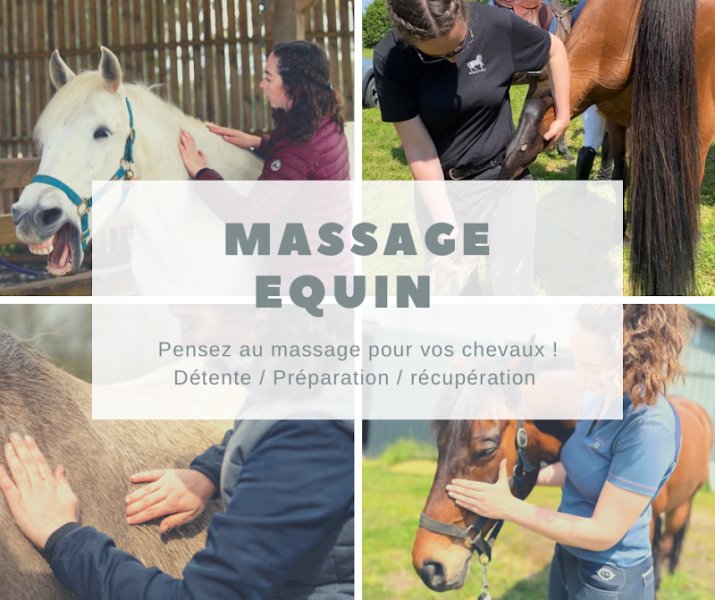 HEqui-form massage chevaux - photo 2