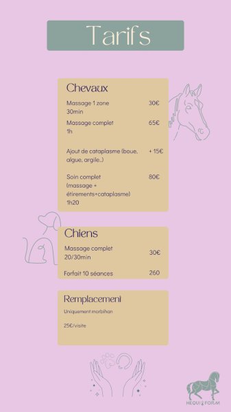 HEqui-form massage chevaux - photo 3