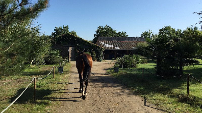 Ecuries Roman Montfort