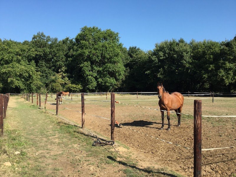 Ecuries Roman Montfort - photo 2