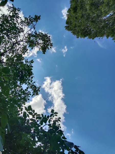 Centre Équestre du Val d'Auron - photo 2