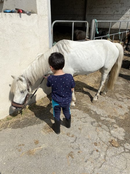 Ecuries Cyrille Noizat - photo 3