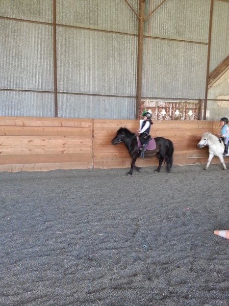 Ferme Equestre D'Osmoy - photo 2