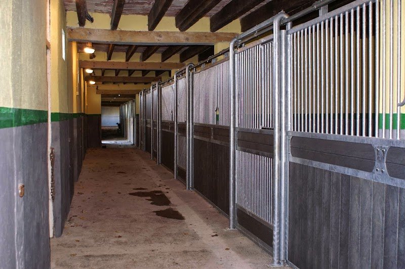 Ecuries de l'Ile Bragard - photo 2