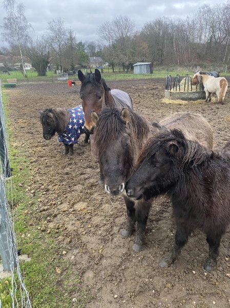 Les Ecuries Jennifer Gay - photo 3