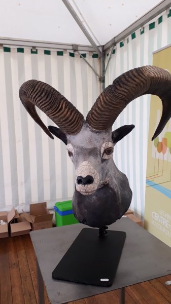 Centre Equestre de Vierzon - photo 3