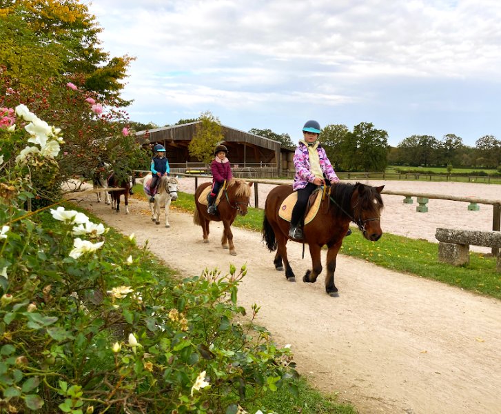 Centre Equestre Le Rio Javar : école d’équitation avec séjour équestre pour adultes et adolescents à Farges-Allichamps - photo 2